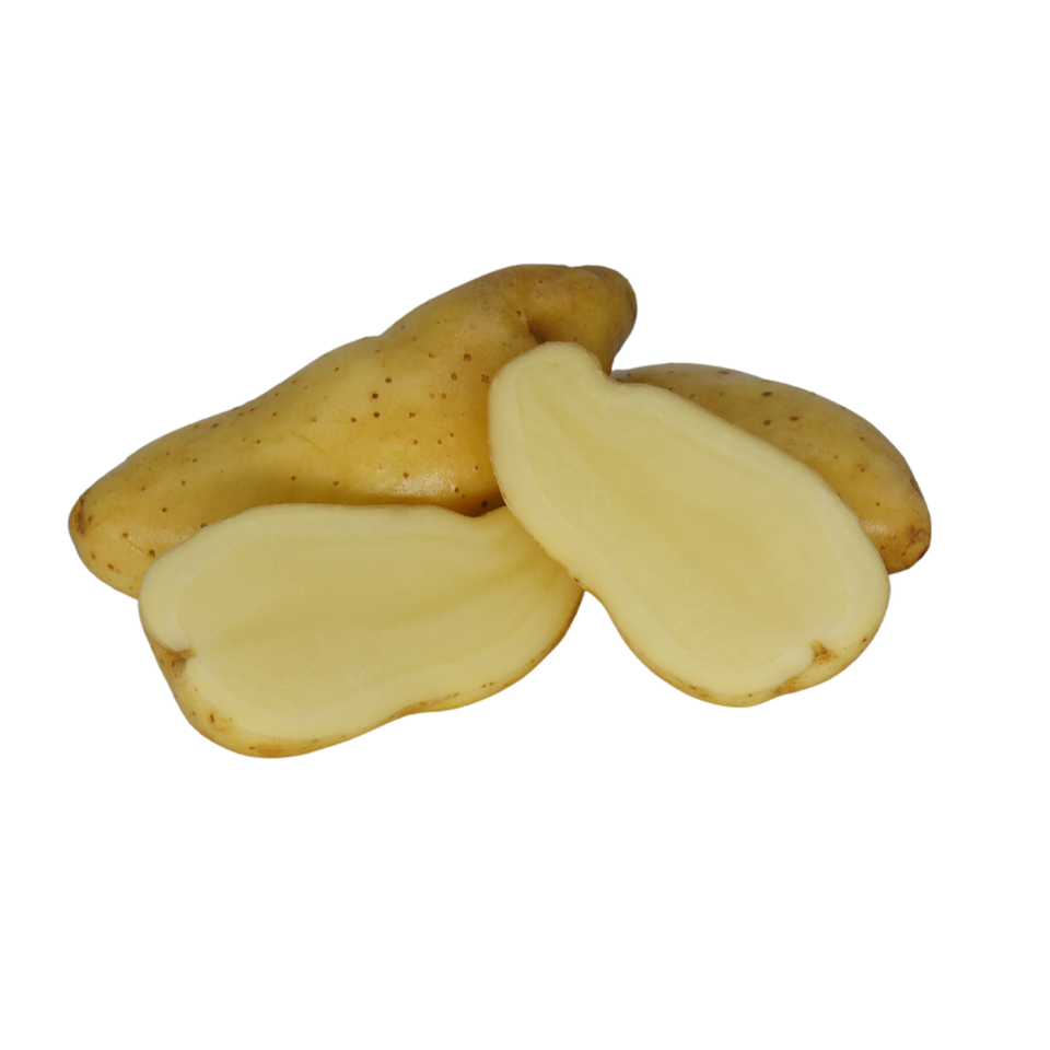 Buy jersey royals online sales